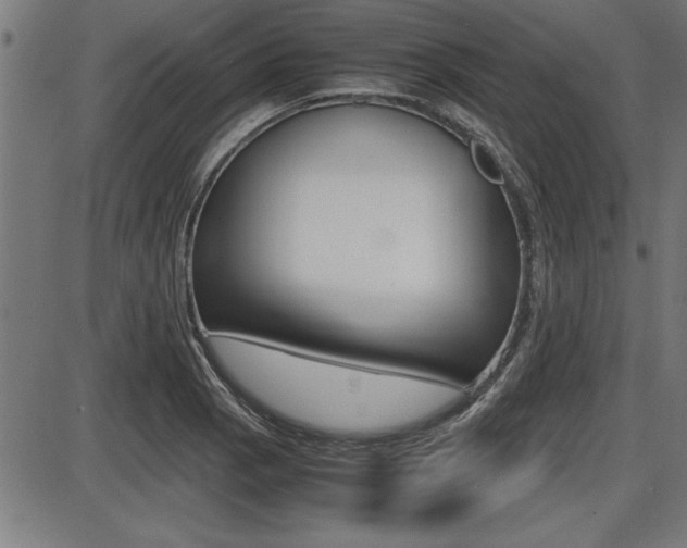 X0000087691129200705040815
