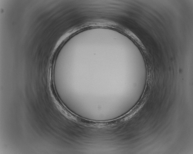 X0000087691130200705040815