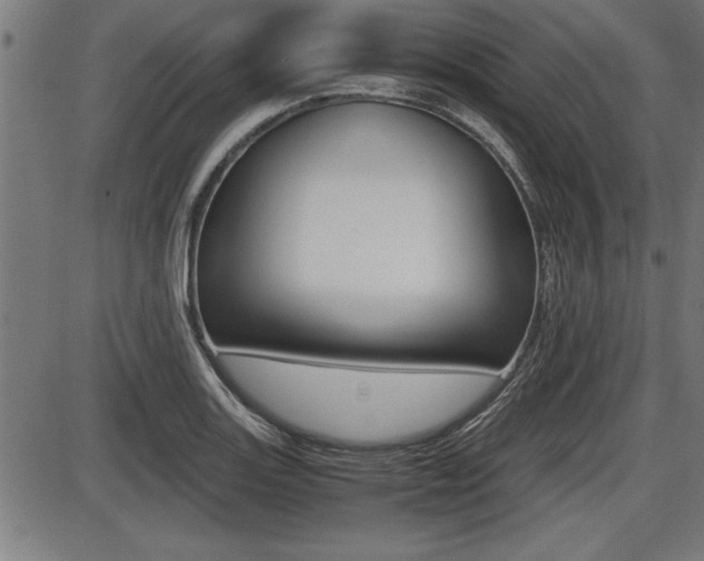 X0000087691131200705040815