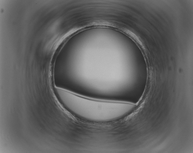 X0000087691133200705040815