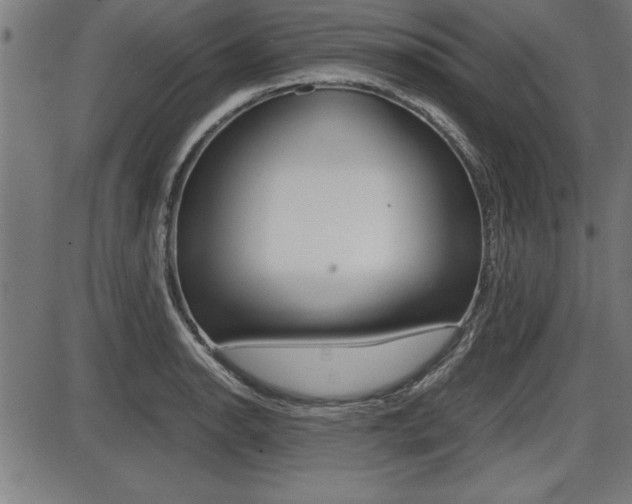 X0000087691134200705040815
