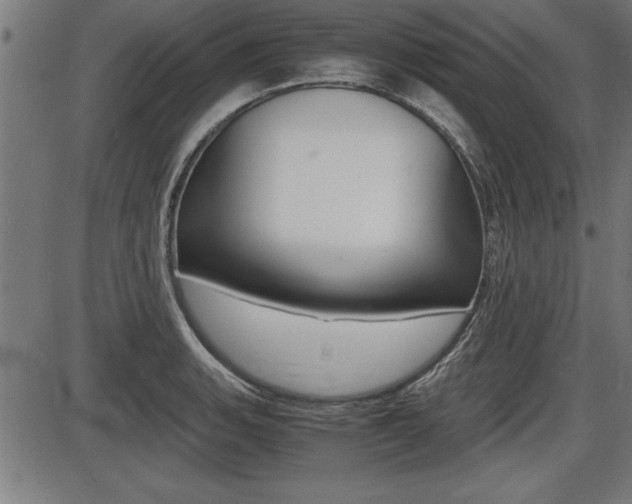X0000087691135200705040815