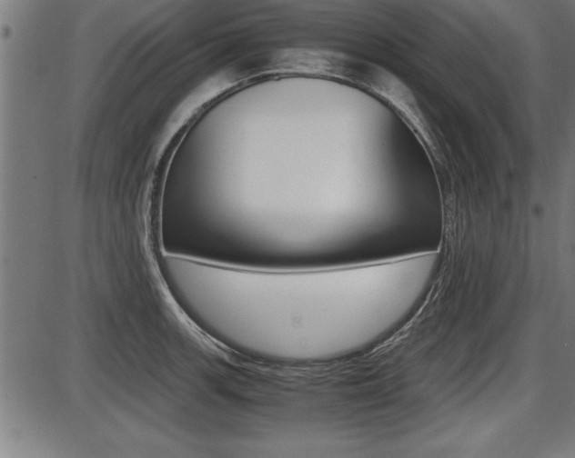 X0000087691139200705040815