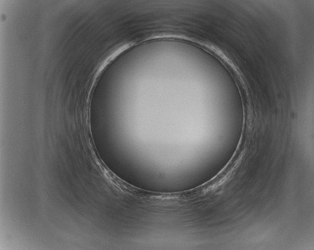X0000087691145200705040815