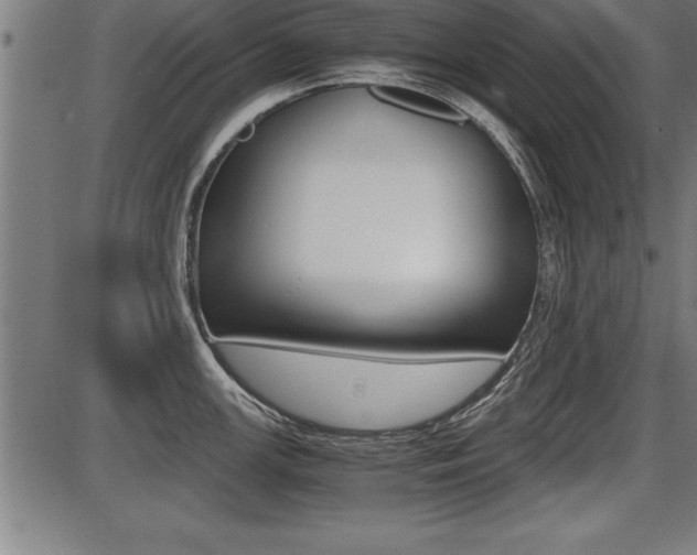 X0000087691147200705040815