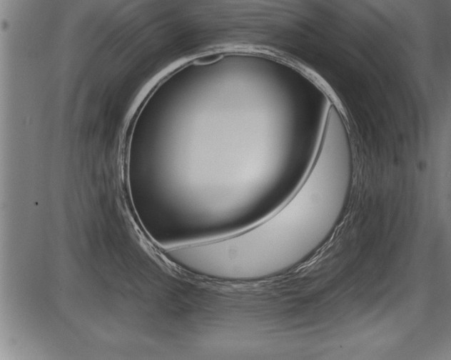 X0000087691148200705040815