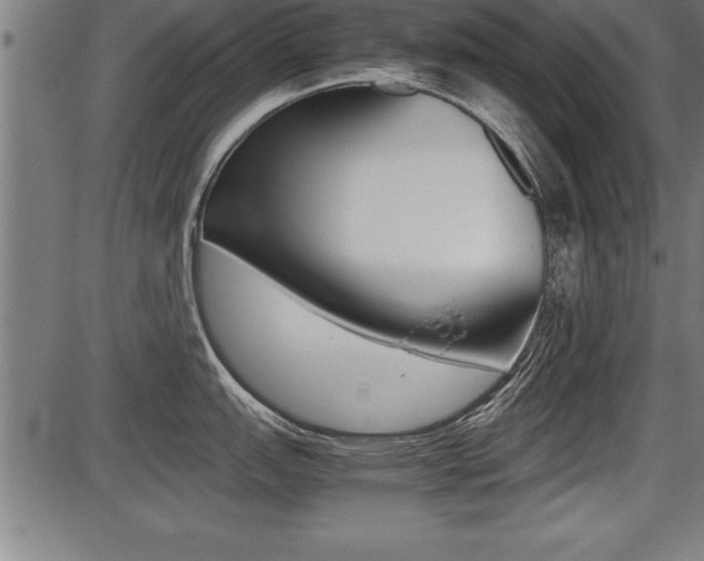X0000087691151200705040815