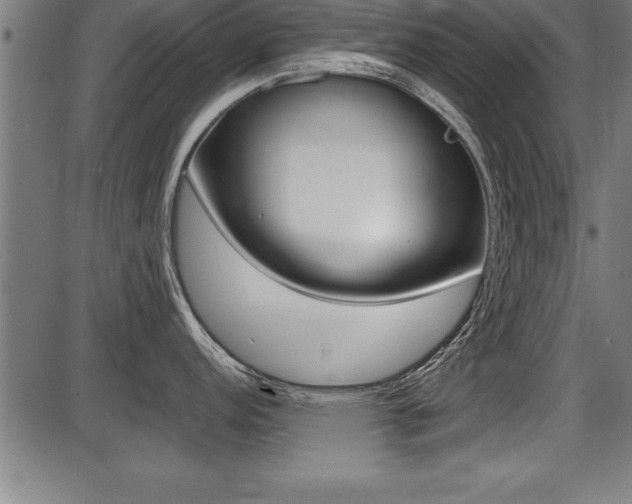 X0000087691152200705040815