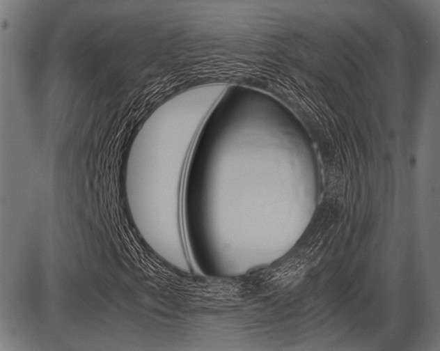 X0000087691153200705040814