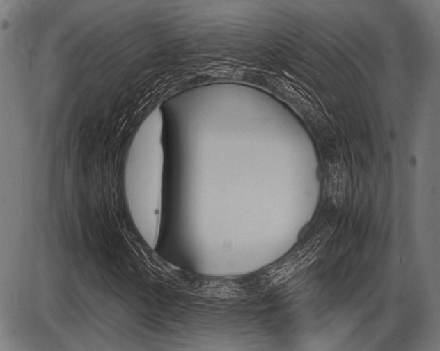 X0000087691154200705040814
