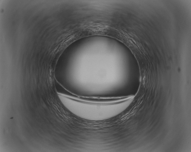X0000087691156200705040814