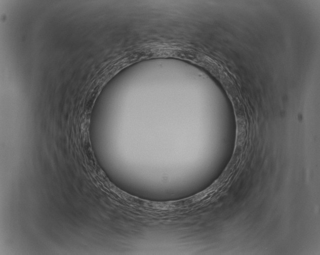 X0000087691157200705040814