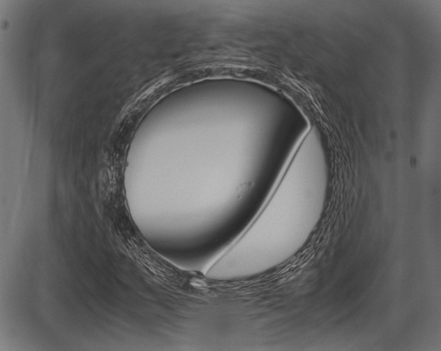 X0000087691159200705040814