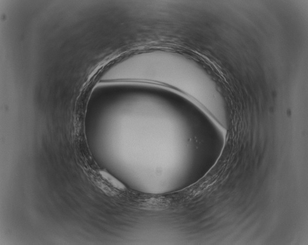 X0000087691160200705040814