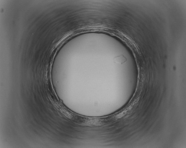 X0000087691162200705040814