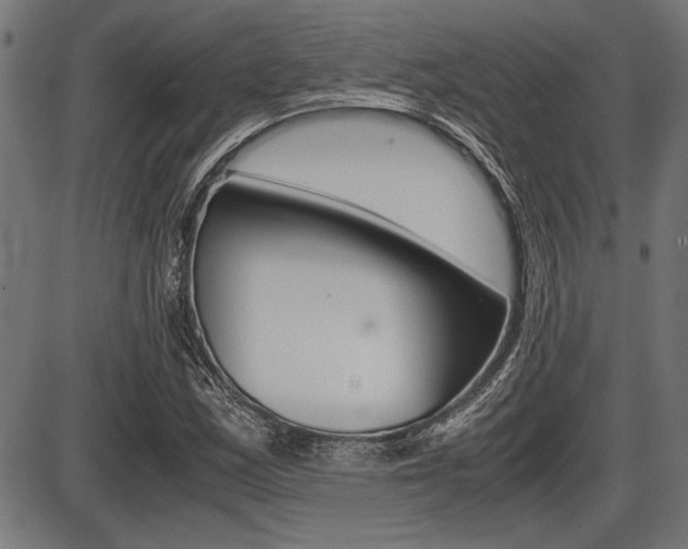 X0000087691163200705040814
