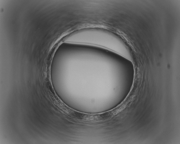 X0000087691165200705040814