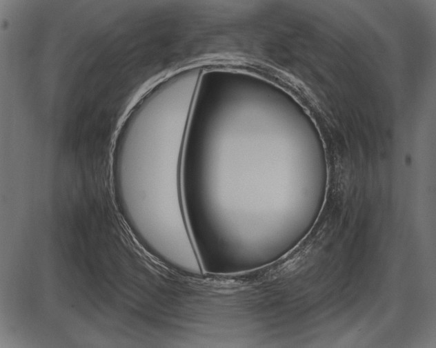 X0000087691168200705040814