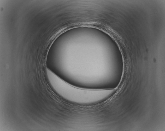 X0000087691169200705040814