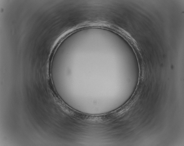 X0000087691174200705040814