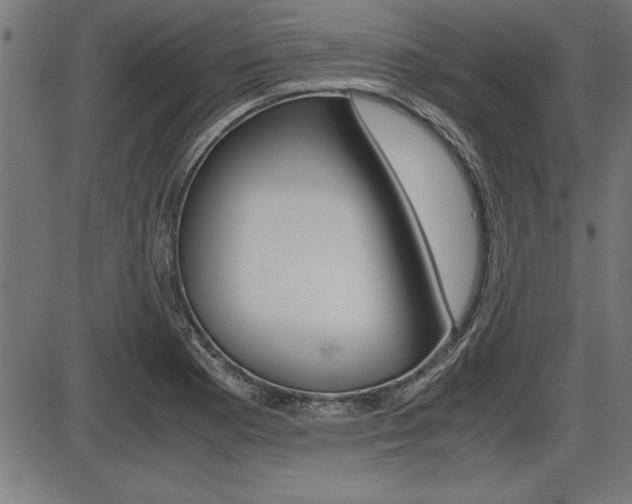 X0000087691177200705040814