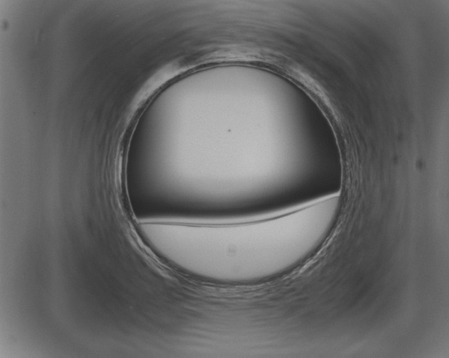 X0000087691179200705040814