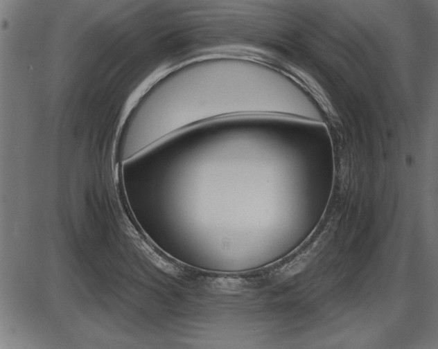 X0000087691180200705040814
