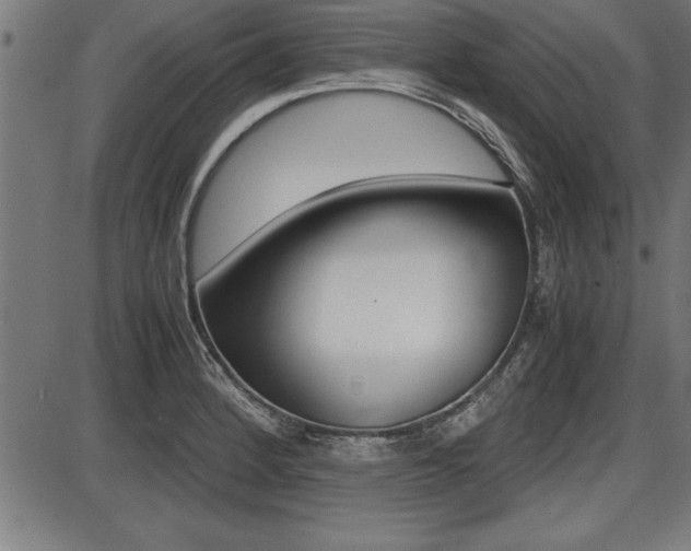X0000087691184200705040814