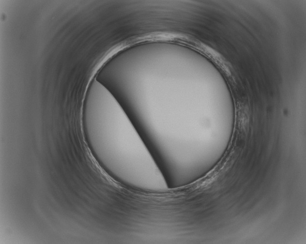 X0000087691186200705040814