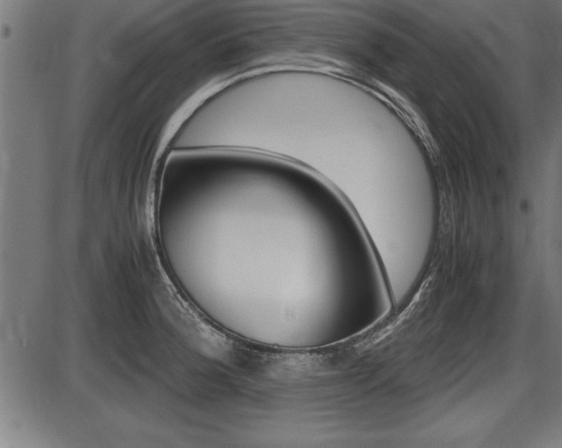 X0000087691188200705040814