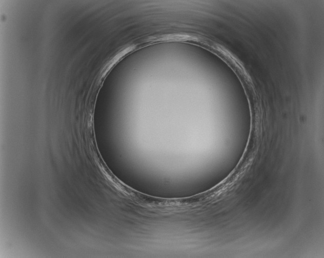 X0000087691193200705040814