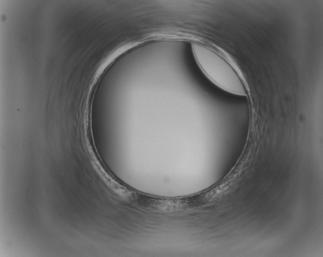 X0000087691195200705040813