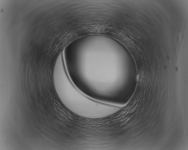 X0000087691202200705040813