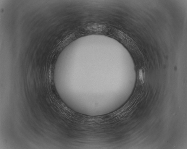 X0000087691203200705040813