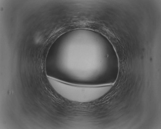X0000087691206200705040813