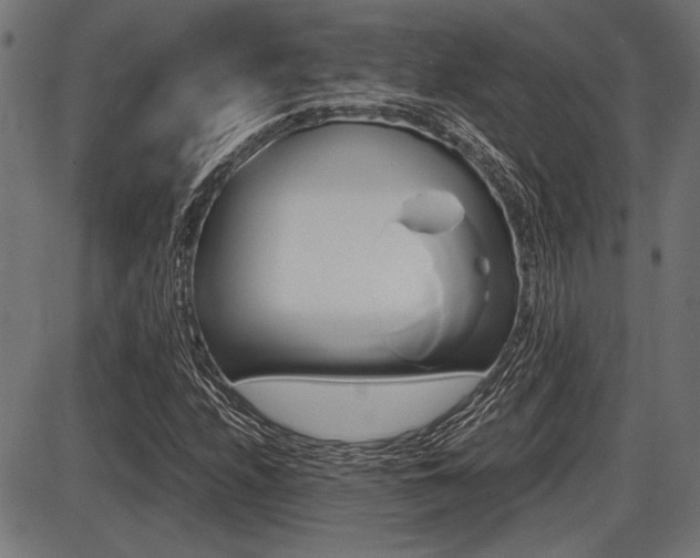 X0000087691208200705040813