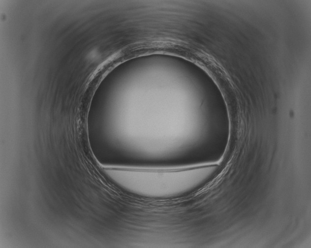 X0000087691210200705040813