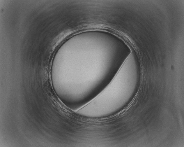 X0000087691212200705040813