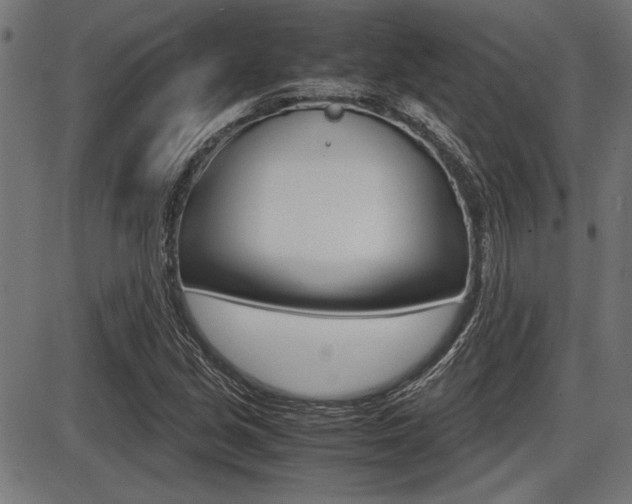 X0000087691213200705040813