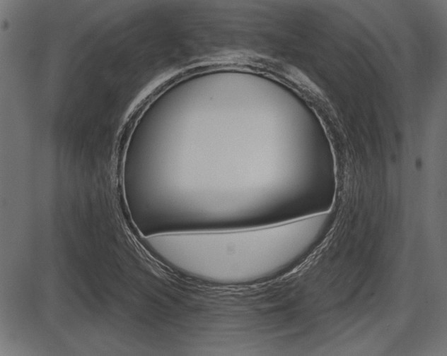 X0000087691216200705040813