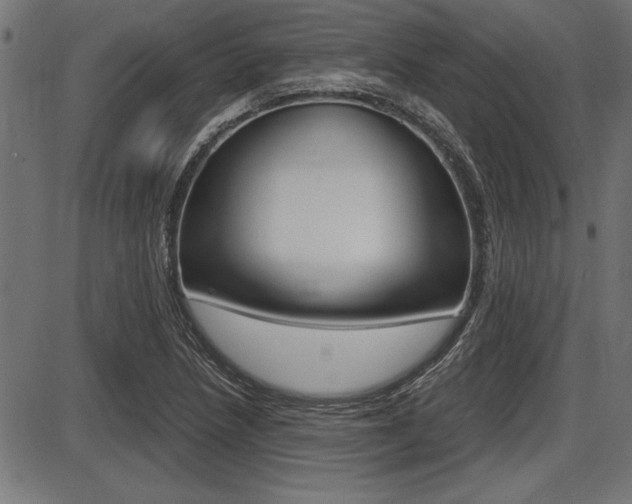 X0000087691218200705040813