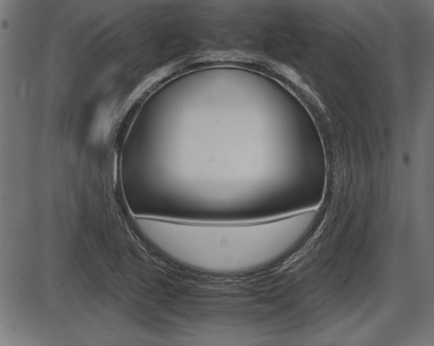 X0000087691221200705040813