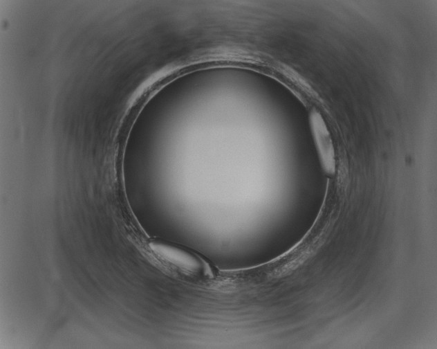 X0000087691222200705040813