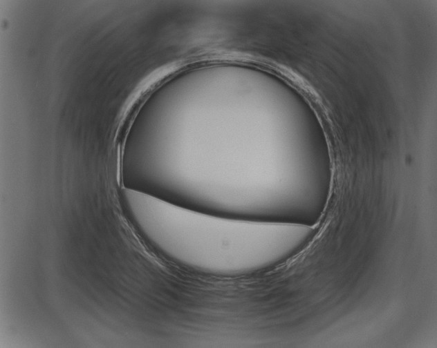X0000087691223200705040813