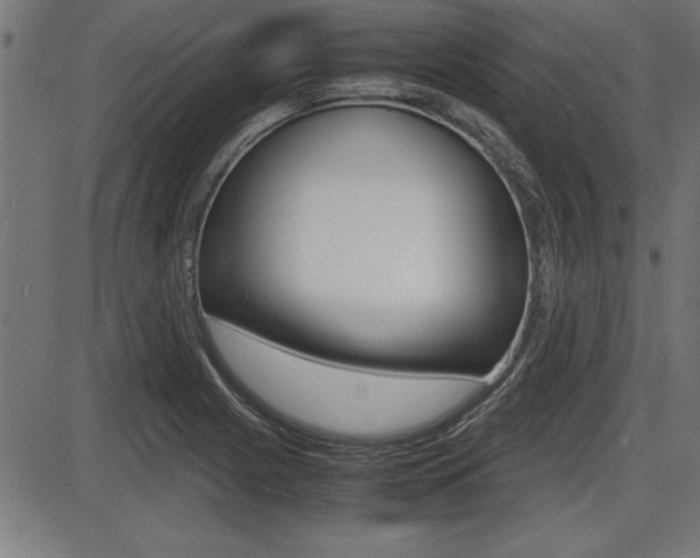 X0000087691225200705040813