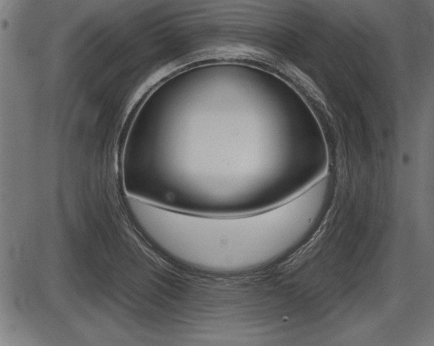 X0000087691226200705040813