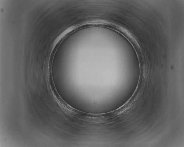 X0000087691229200705040813