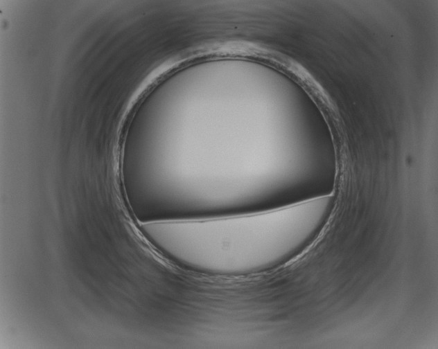 X0000087691232200705040813