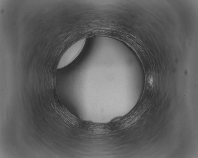 X0000087691252200705040813
