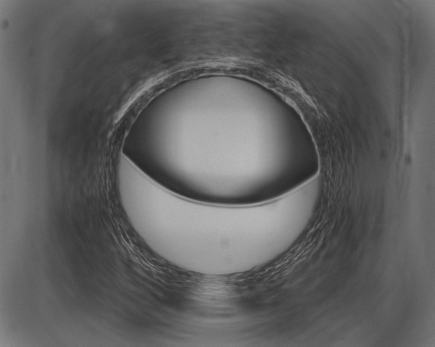 X0000087691256200705040812